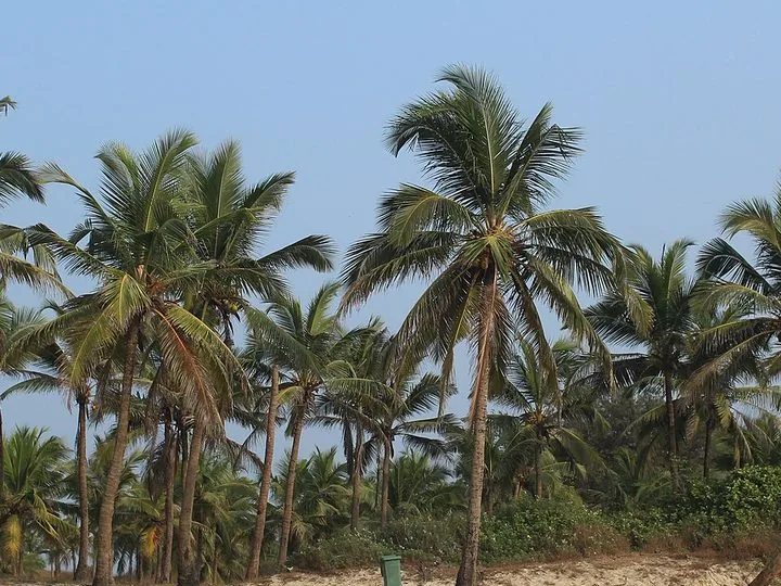 Mumbai to Goa
