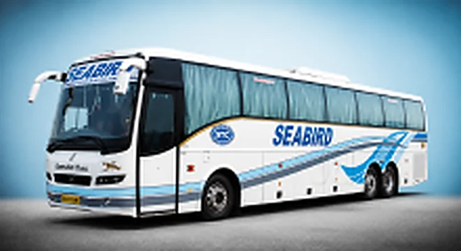 Sea Bird Tourist