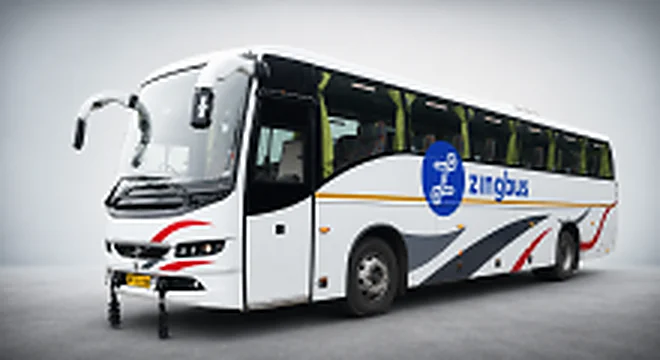 Zingbus